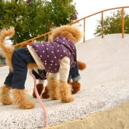 カバーオール(つなぎ)