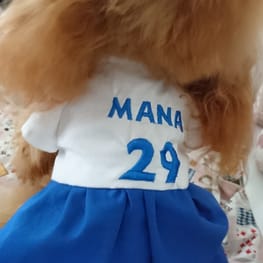 カオリンさんの作品