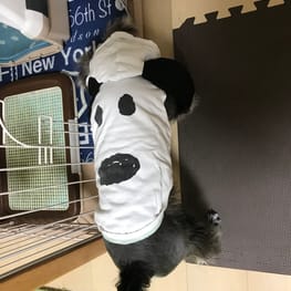 トレーナー・3Wayパーカー