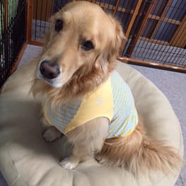 スカート/サロペット