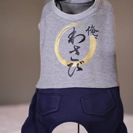 ラッフルスリーブトップス