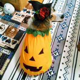 にゃん太さんの作品