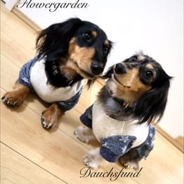 やすやすさんの作品