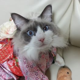 カバーオール(つなぎ)