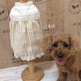 パーカー/トレーナー