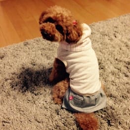 ベーシックタンクトップ&Tシャツ