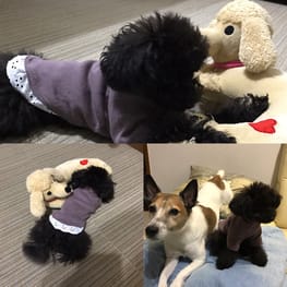 ベーシックラグランTシャツ