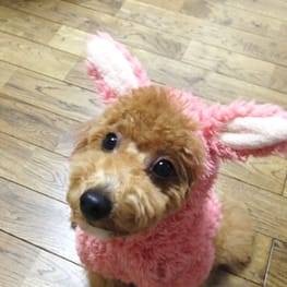 トレーナー・3Wayパーカー