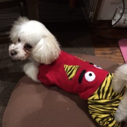 ベーシックタンクトップ&Tシャツ