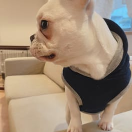 ベーシックタンクトップ&Tシャツ