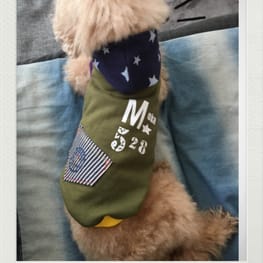 ベーシックタンクトップ&Tシャツ