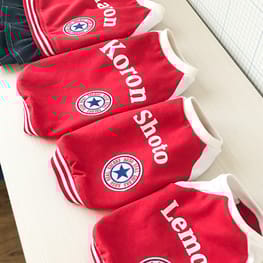 サニタリー・マナーパンツ