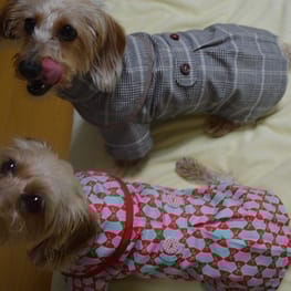 パンツ/サロペット