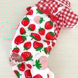 オーバーレインコート