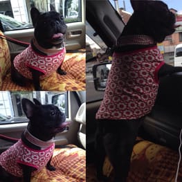 ラッフルスリーブトップス