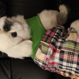 ちゃちゃまるさんの作品