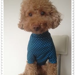 ショールカラーカーディガン