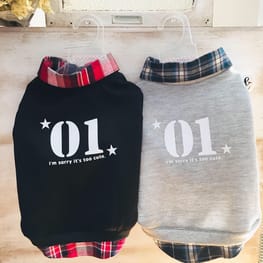 オーバーレインコート