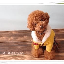 ドッグスリング