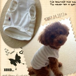 ベーシックラグランTシャツ