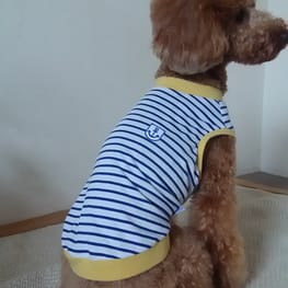 ベーシックタンクトップ&Tシャツ