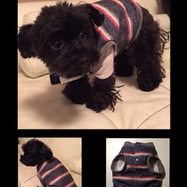 ベーシックタンクトップ&Tシャツ