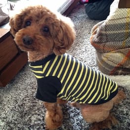 スカート/サロペット