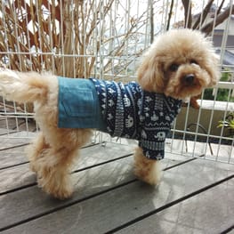 ラグランタンク・ラグランワンピ