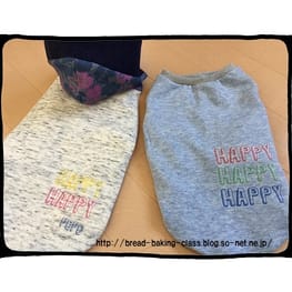 ベーシックラグランTシャツ