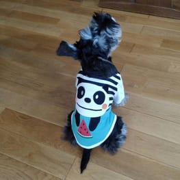 ダウンジャケット