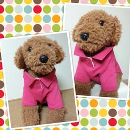 パーカー/トレーナー