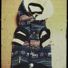 ラガーシャツ・ポロシャツ