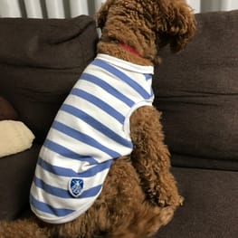 バルーンブラウス