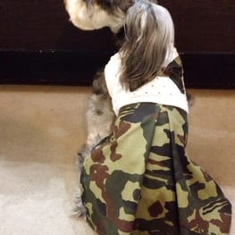 ベーシックタンクトップ&Tシャツ