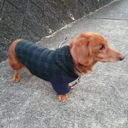 ベーシックタンクトップ&Tシャツ