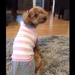 スカート/サロペット