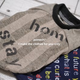 ベーシックラグランTシャツ