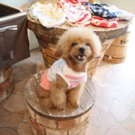 リボンワンピース