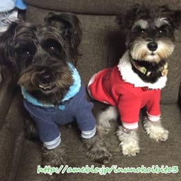 ベーシックタンクトップ&Tシャツ