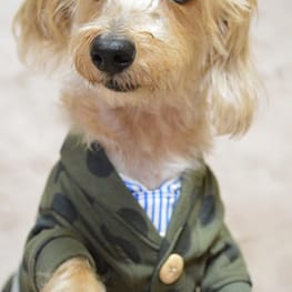 ダウンジャケット