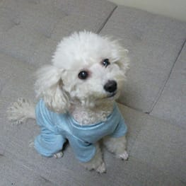 パーカー/トレーナー