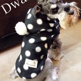 うさぎ/パンダ変身コスチューム