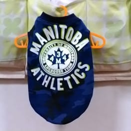 ちゃんちゃんこ