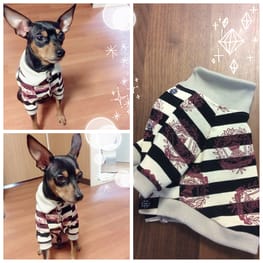 ラガーシャツ・ポロシャツ