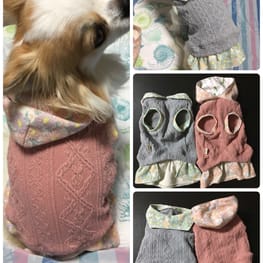 バックオープンベスト