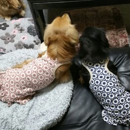 レーサーバック・バッククロスタンク