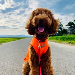 カバーオール(つなぎ)