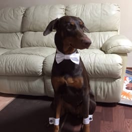 Aliceさんの作品