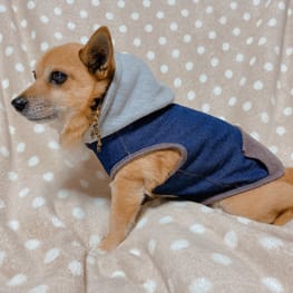 sHinoさんの作品