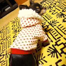 パーカー/トレーナー